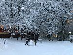 Schulkinder rollen einen großen Schneeball über den Schulhof. Im Hintergrund sind die schneebedeckten Bäume zu sehen.